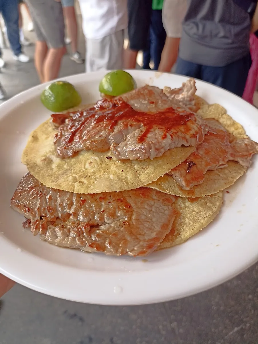 El Califa de Leon - costilla taco close up