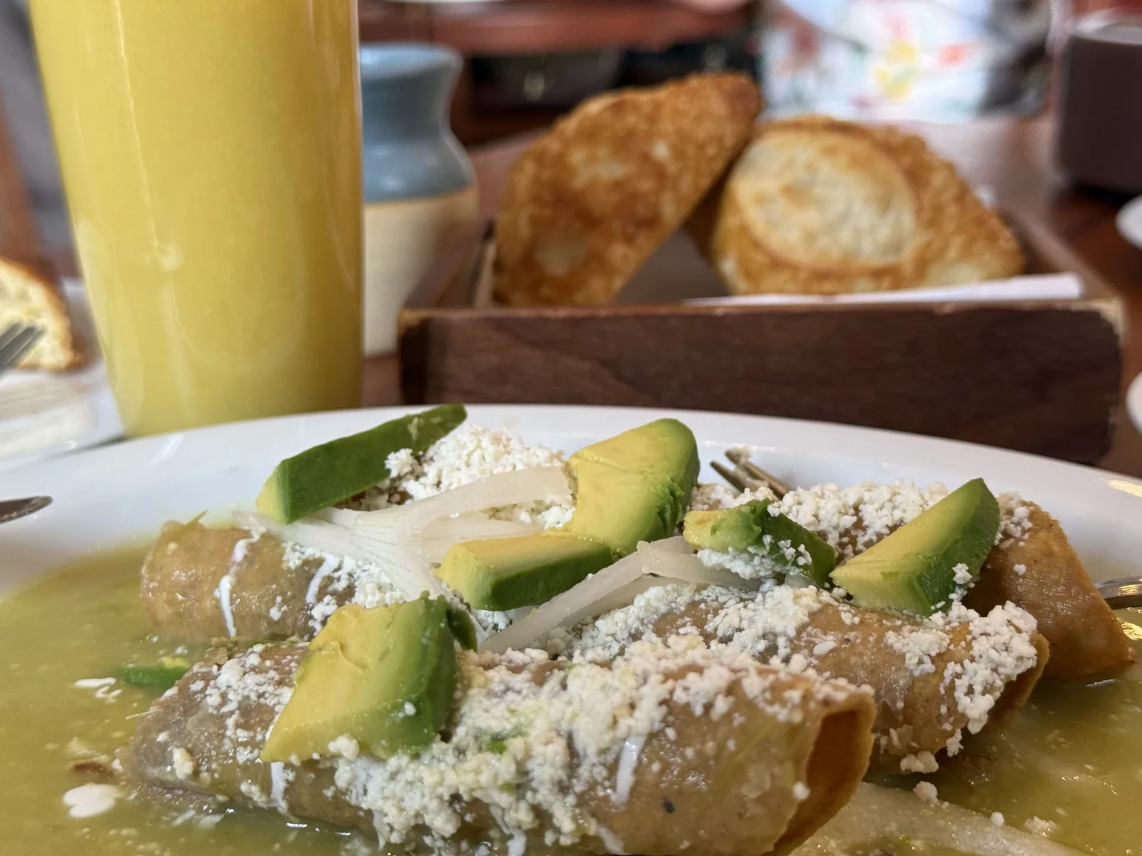 El Cardenal - dish enchiladas avocado