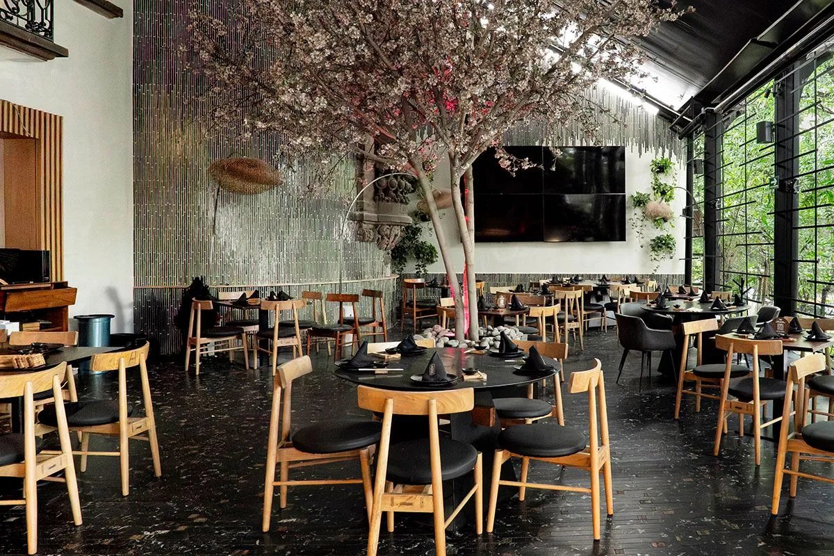El Japonez - Polanco - dining room with blossom tree installati