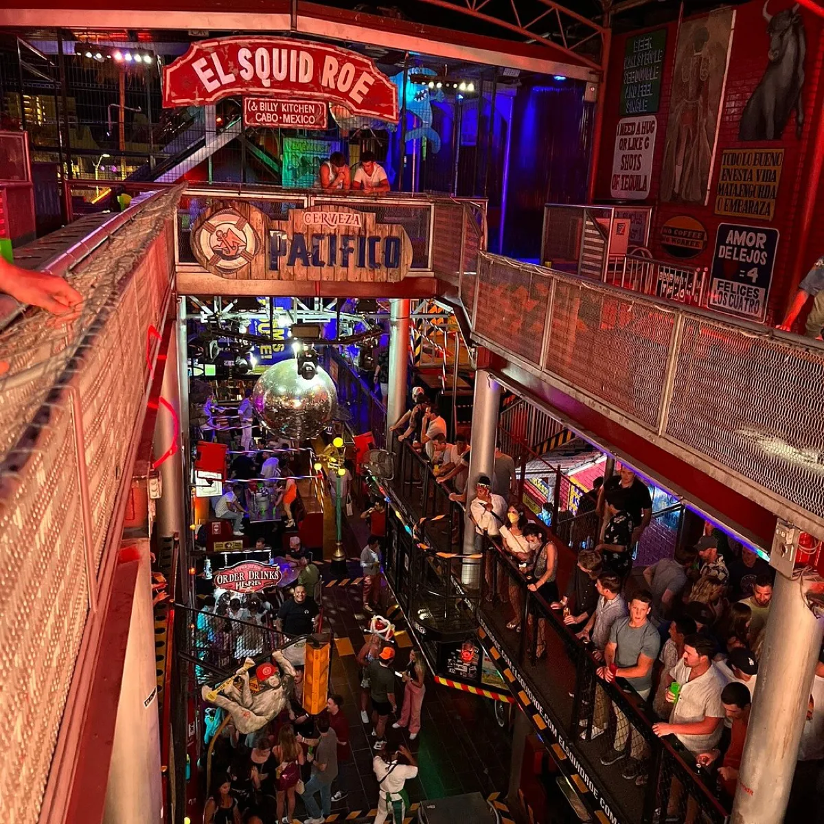 El Squid Roe, nightclubs in Cabo 4