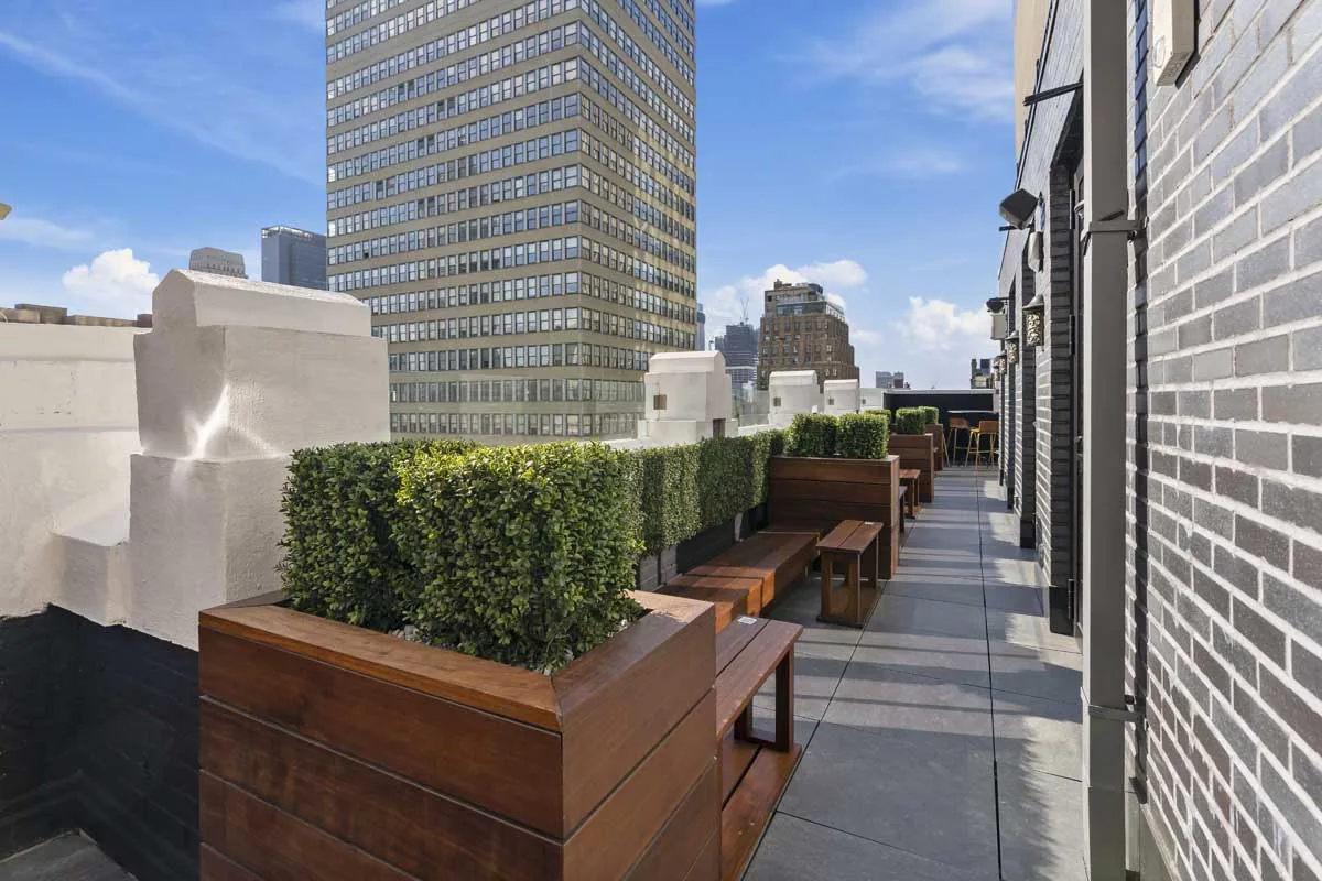 Elsie Rooftop - terrace midtown view