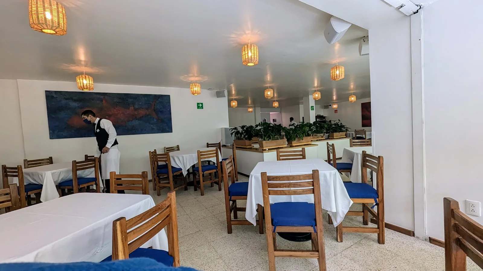 Entremar - dining room blue chairs