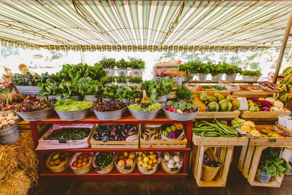 Flora's Field Kitchen, restaurants in Cabo 6