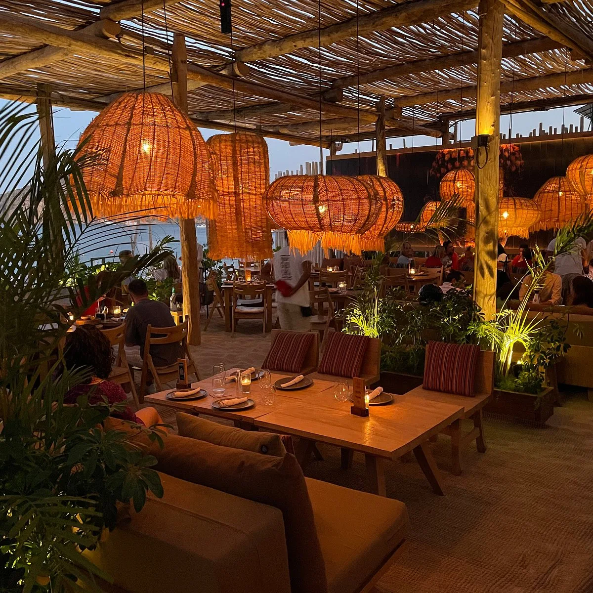 Funky Geisha Los Cabos, restaurants in Cabo 2
