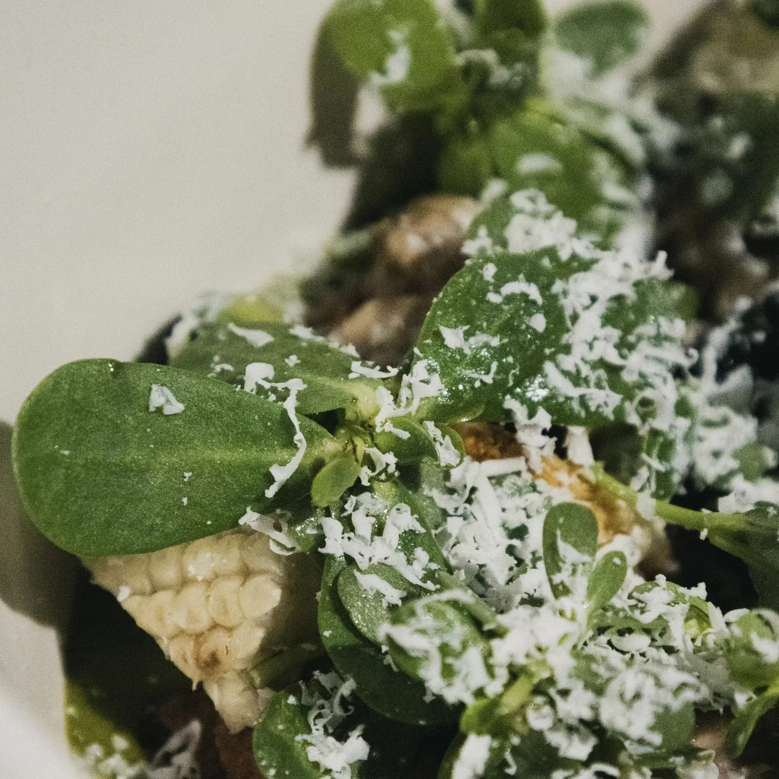 Gaba - beef sweetbreads with green chileatole