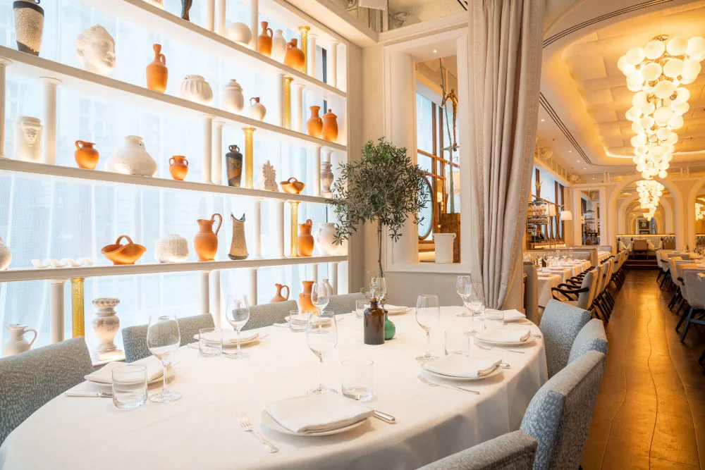 Gaia Mayfair - library room olive tree
