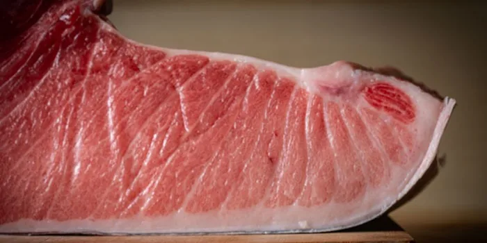 Ginza Sushi Ichi - food otoro tuna