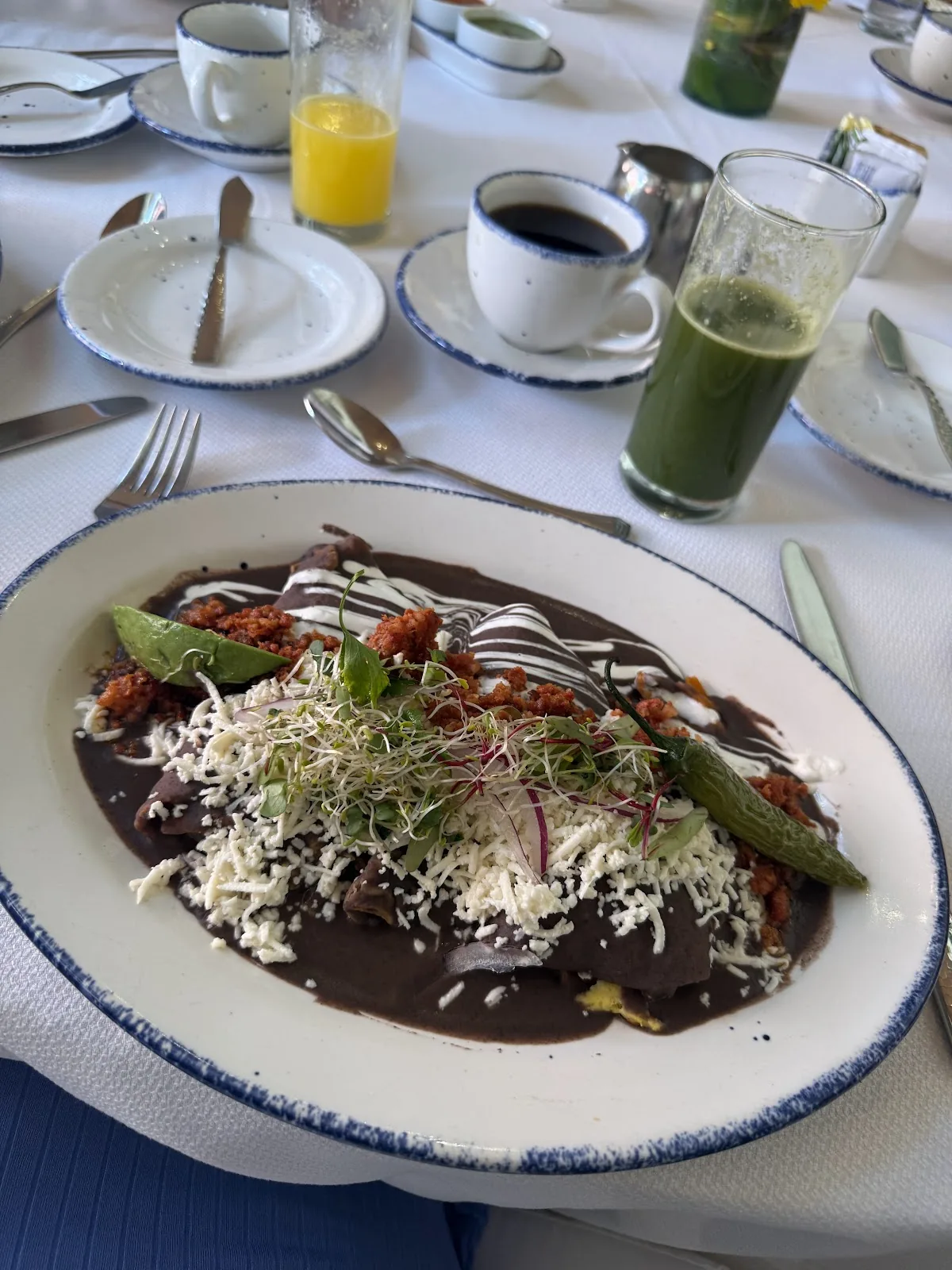 Hacienda de los Morales - enchiladas in mole