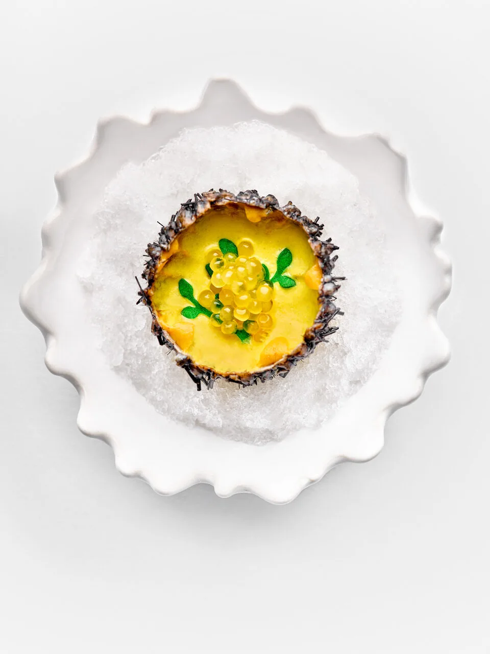 Haoma - yellow tart dish