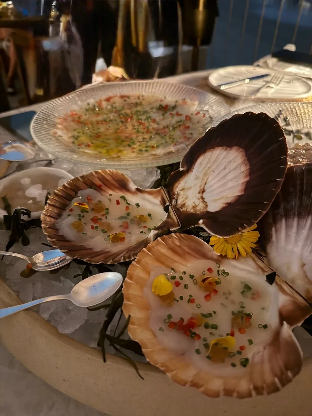 Iliana - scallops