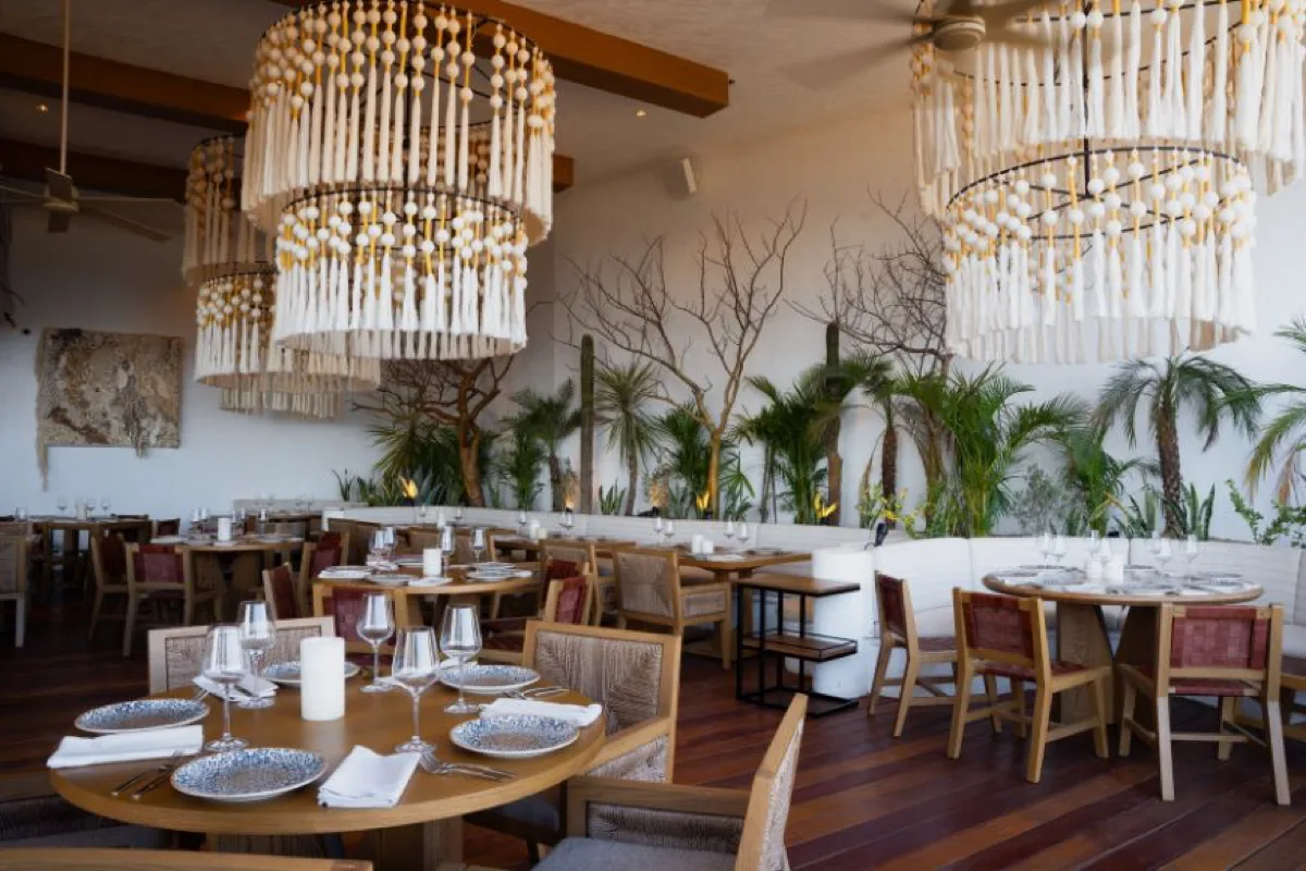 Ilios Greek Estiatorio - restaurant in Cabo