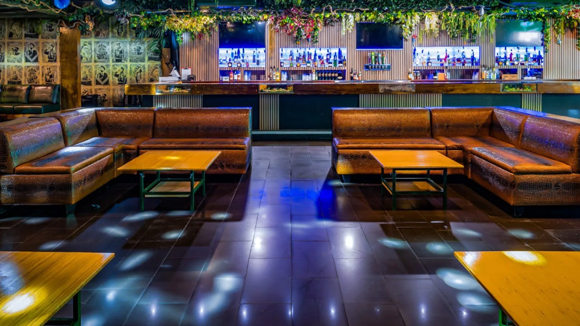 Jungle Hollywood - dance floor under jungle decor