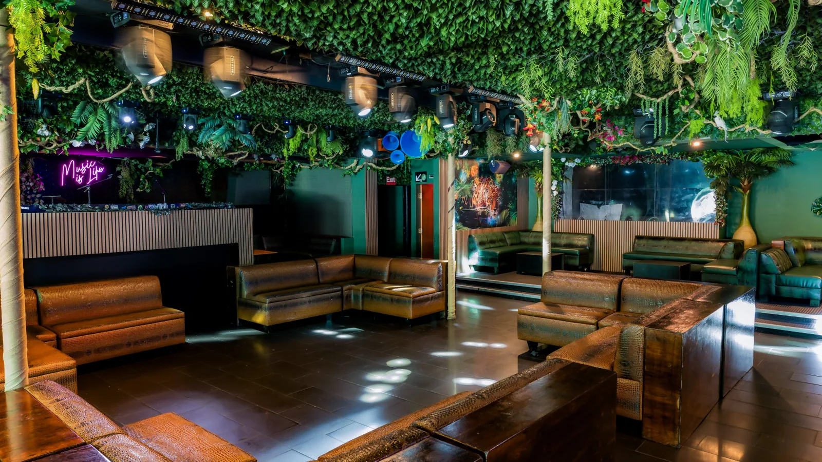 Jungle Hollywood - lounge 5