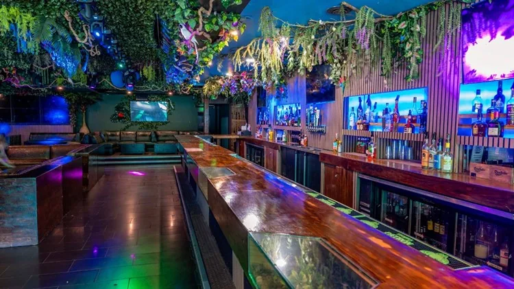 Jungle Hollywood - lounge