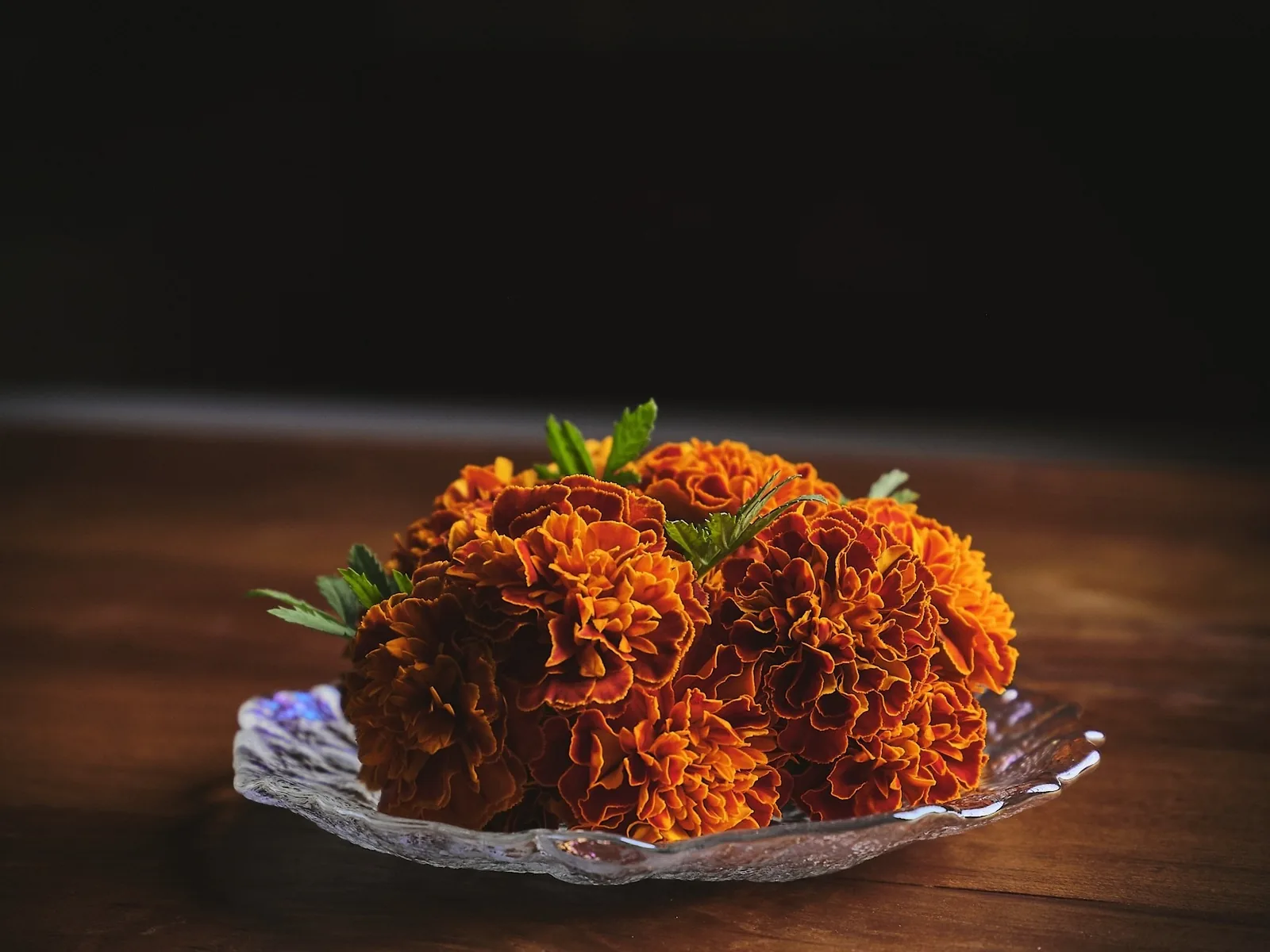 KHAAN - marigold shaped signature course on a glass stand food