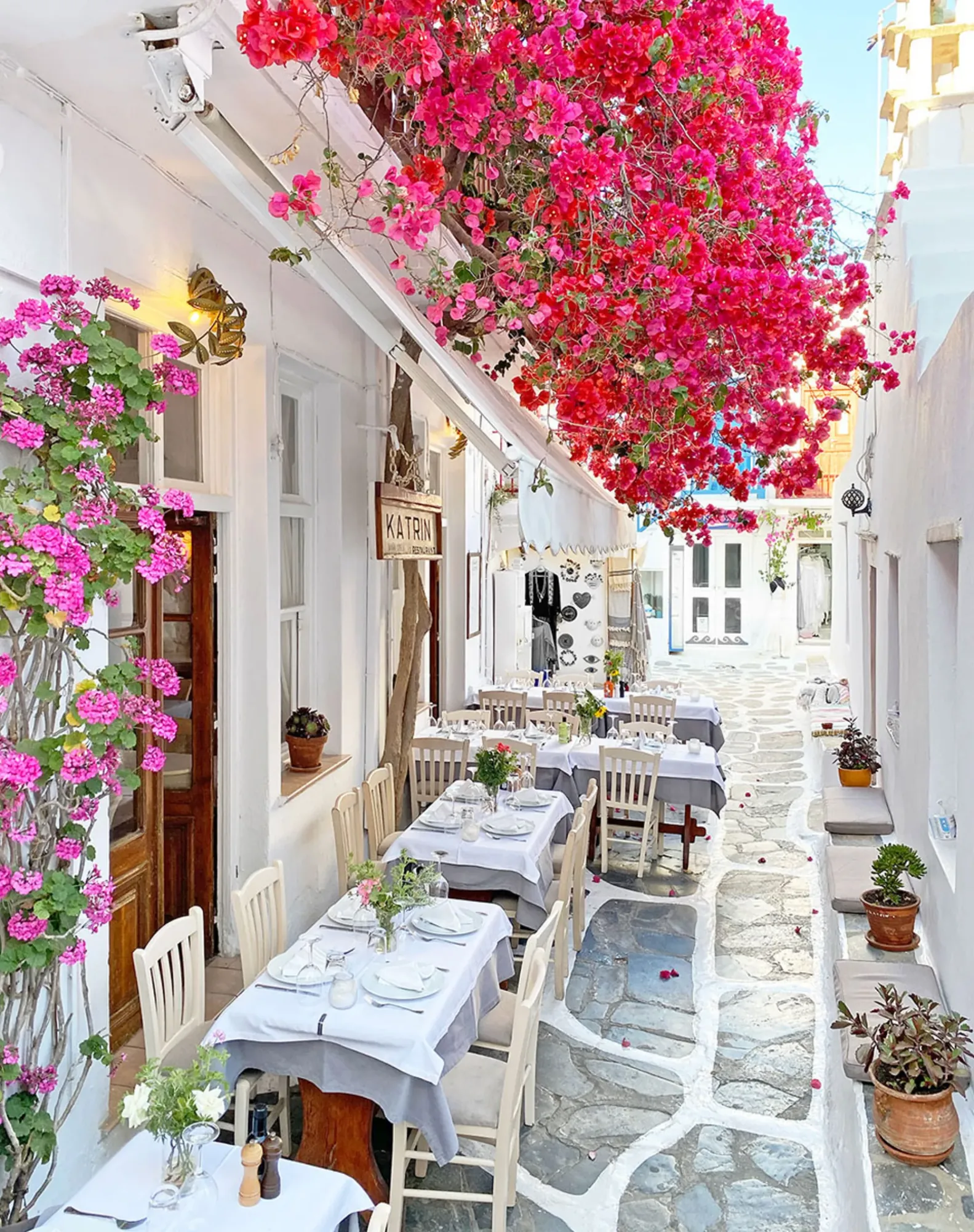La Maison de Katrin - bougainvillea alley
