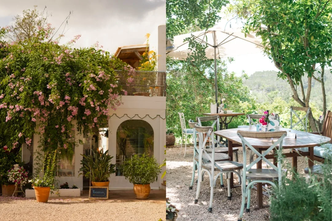 La Paloma - garden day