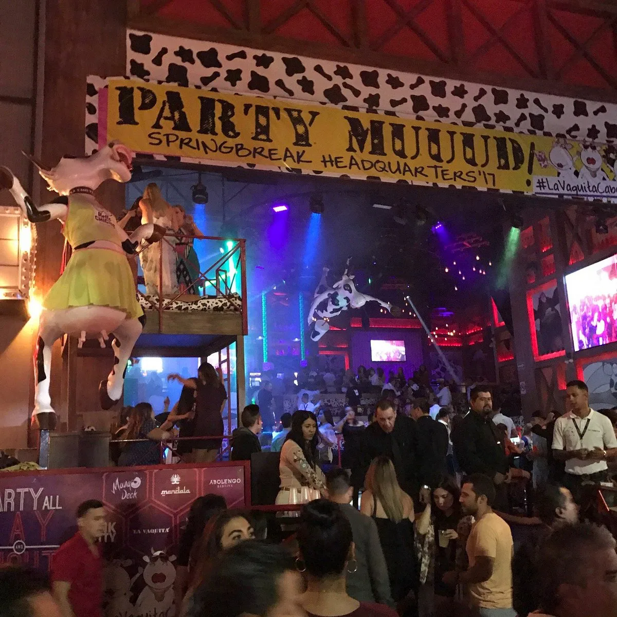 La Vaquita Los Cabos, nightclubs in Cabo 3