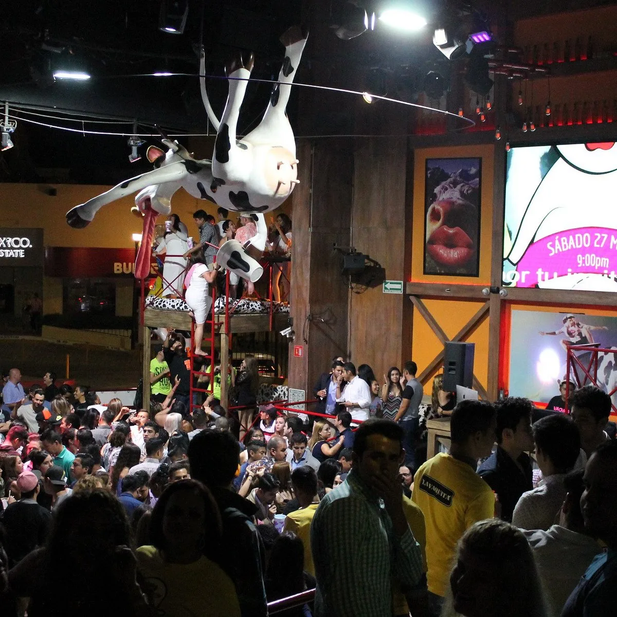 La Vaquita Los Cabos, nightclubs in Cabo 4