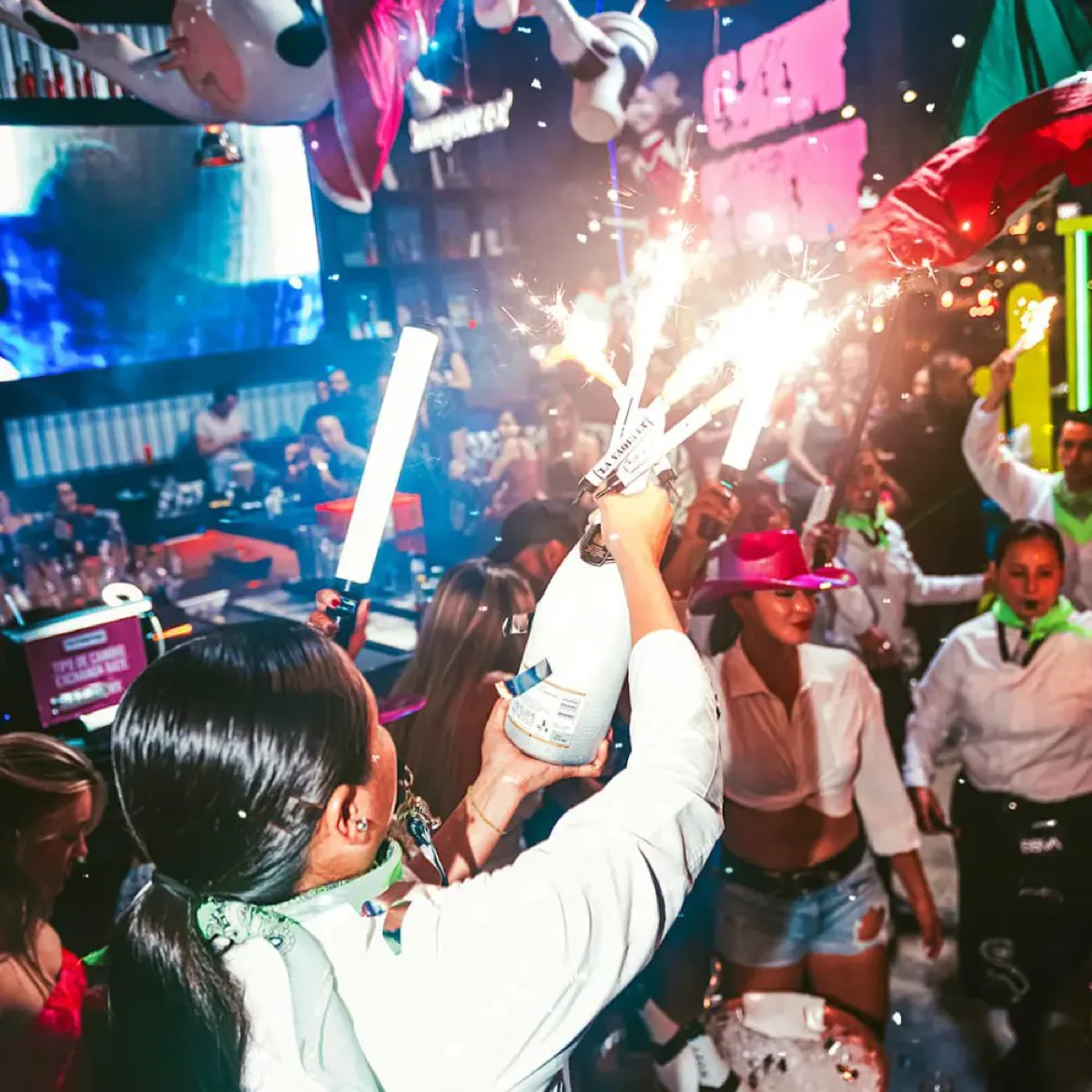 La Vaquita Los Cabos, nightclubs in Cabo 6