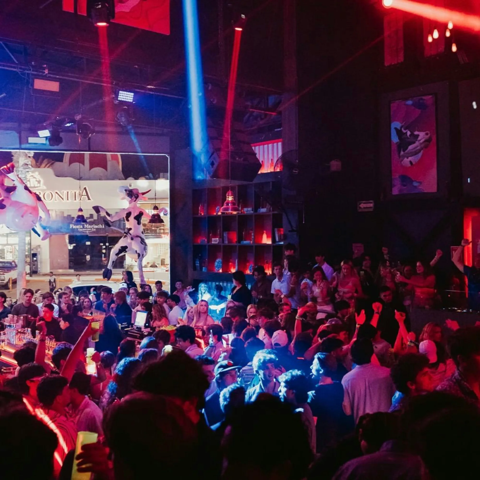 La Vaquita Los Cabos - nightclub