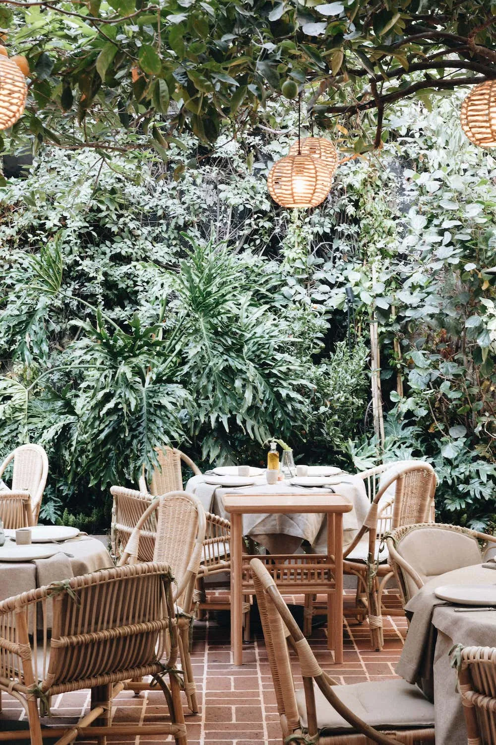 Lampuga Polanco - garden terrace with rattan chairs under