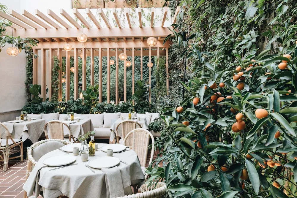 Lampuga Polanco - pergola terrace tables beside the citrus