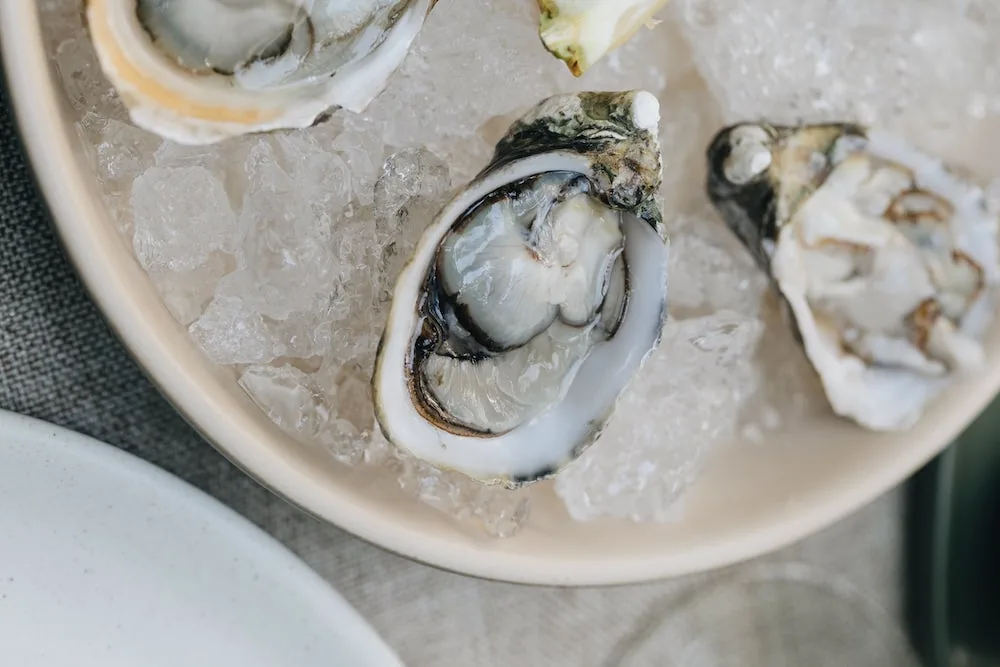 Lampuga Polanco - oysters on ice