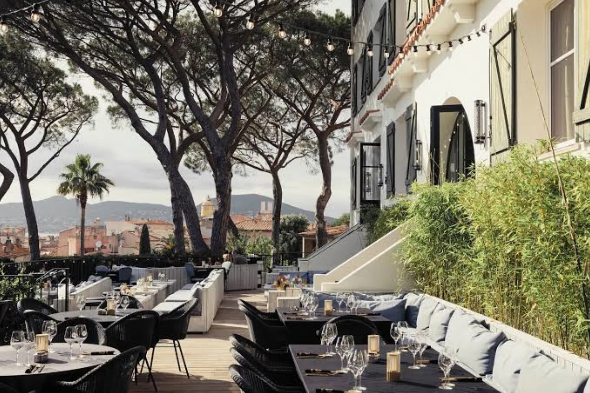 Le TIGRR - rooftop pines terrace