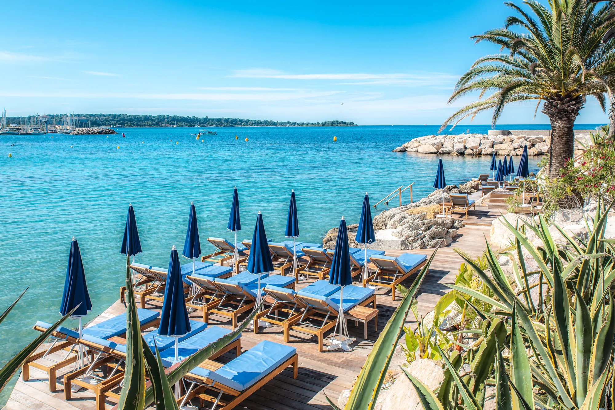 L'Ecrin Plage - restaurant in Cannes
