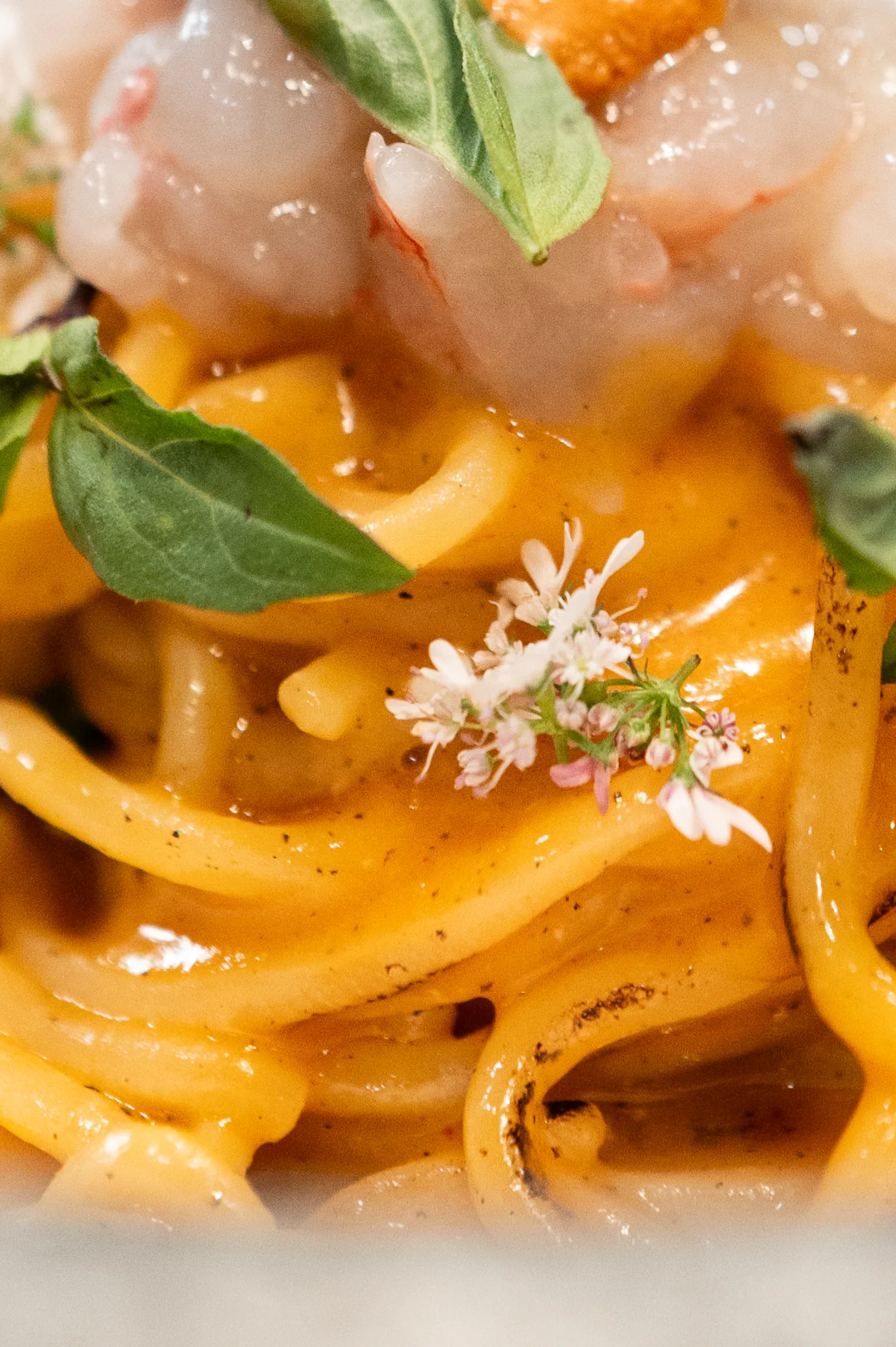 Lielle - shrimp tagliolini