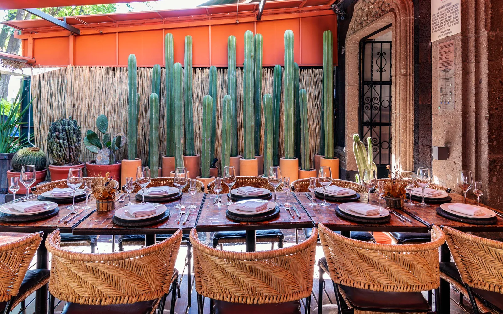 Los Danzantes Coyoacan - courtyard cactus wall
