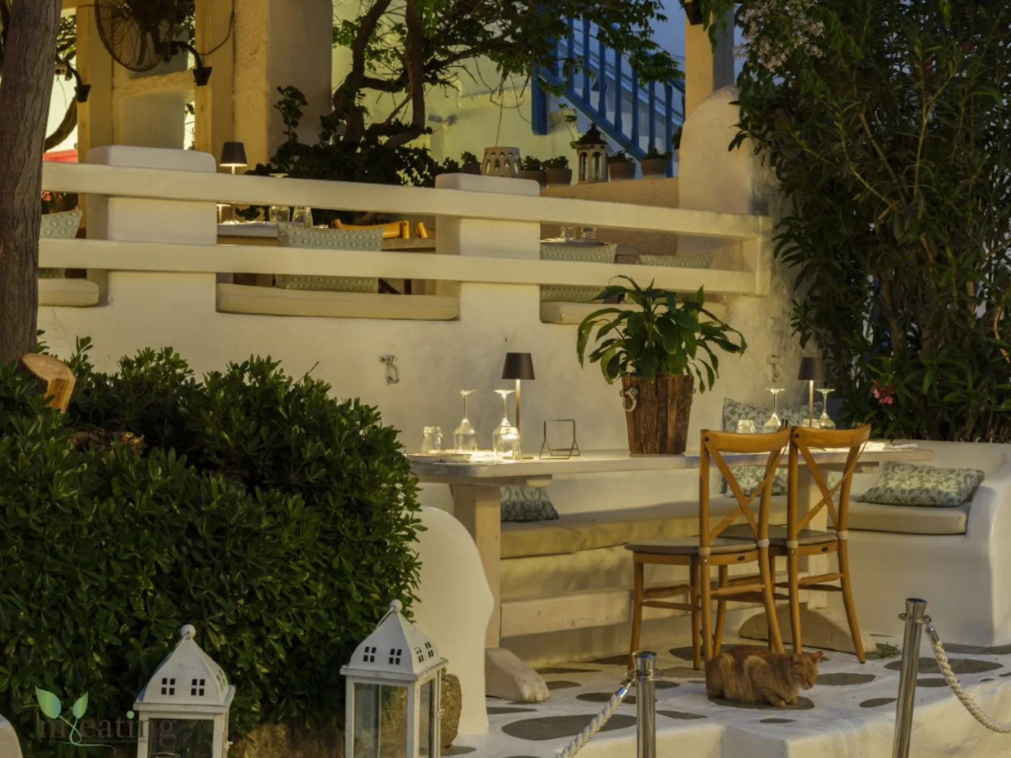 M-eating - garden lantern dining
