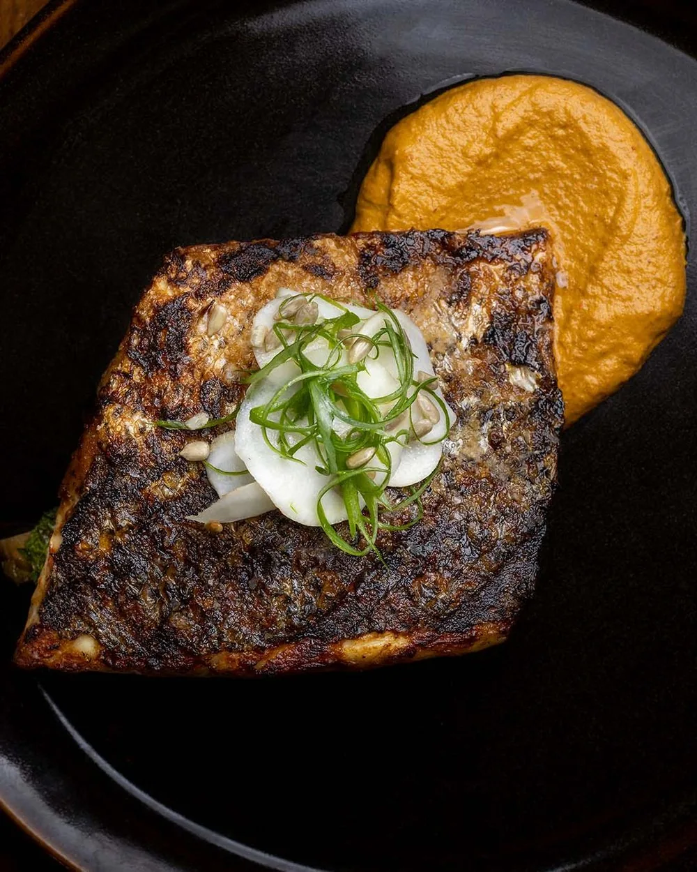 Majordomo - black bass