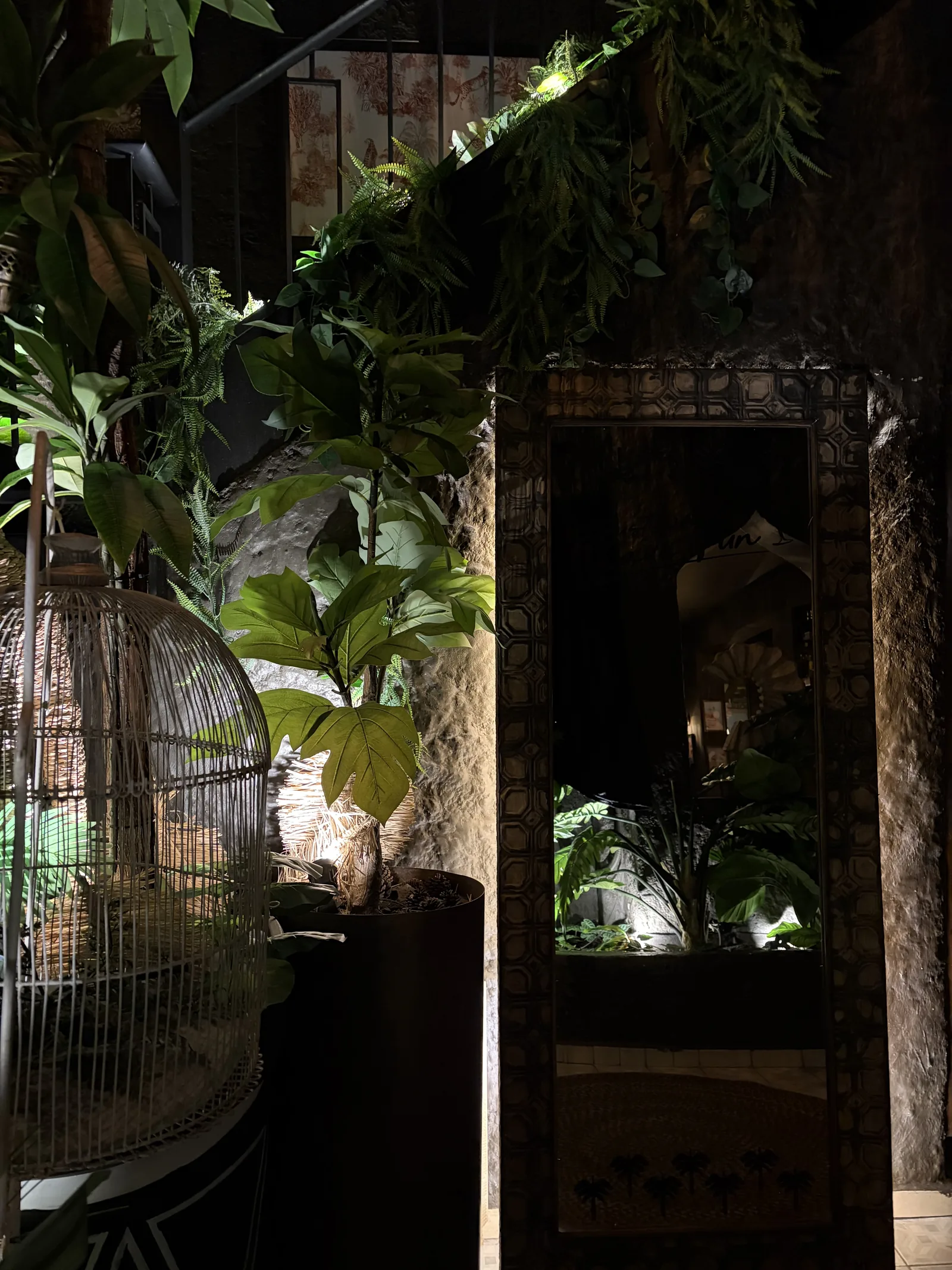 Mamba Negra - mirror and foliage