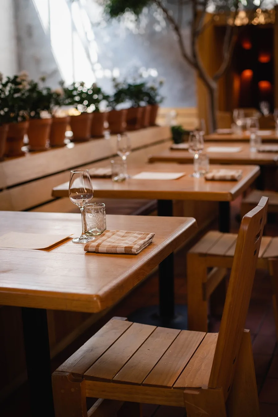 Maximo Bistrot - set tables with plants