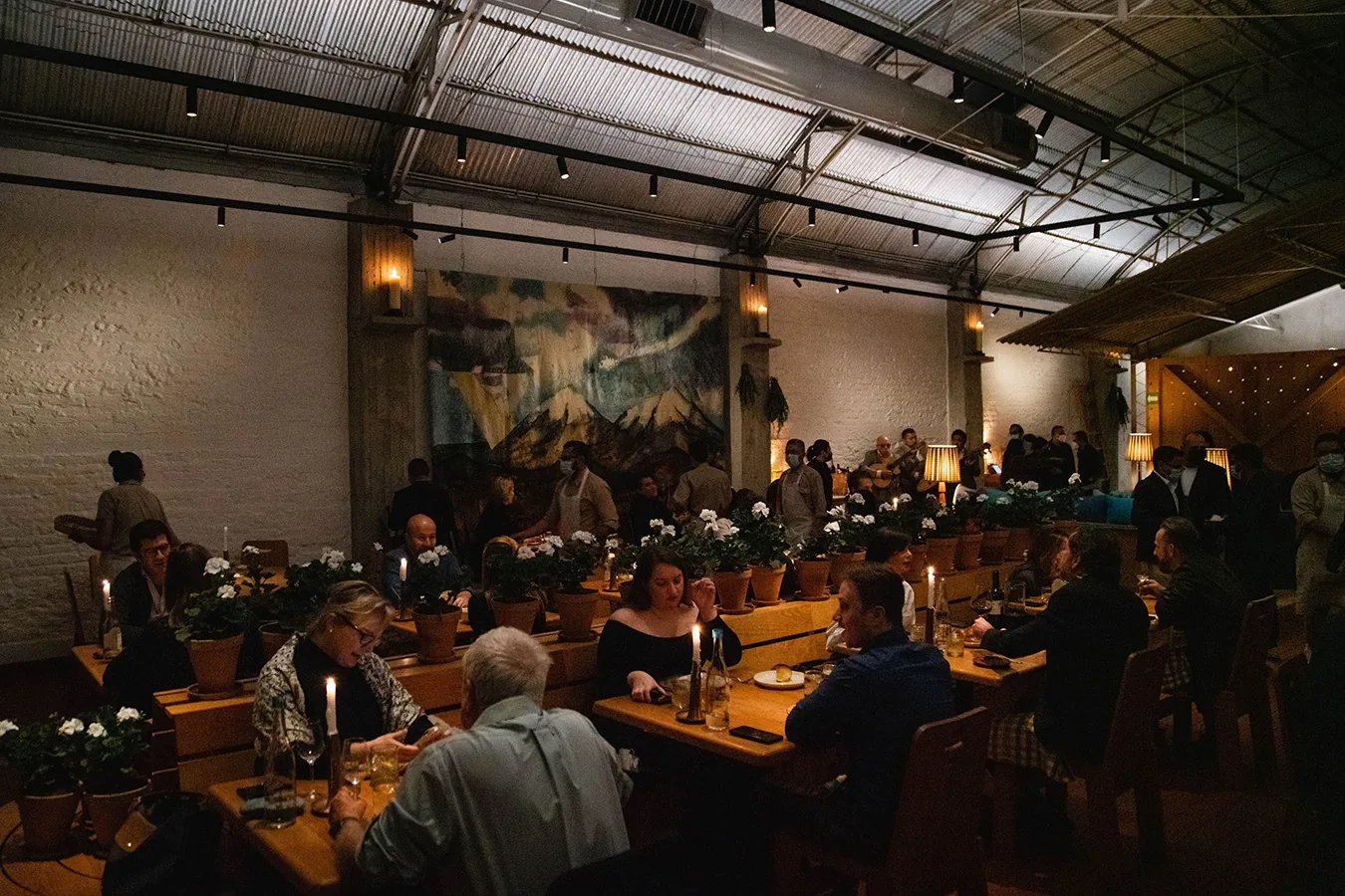 Maximo Bistrot - restaurant in Mexico City