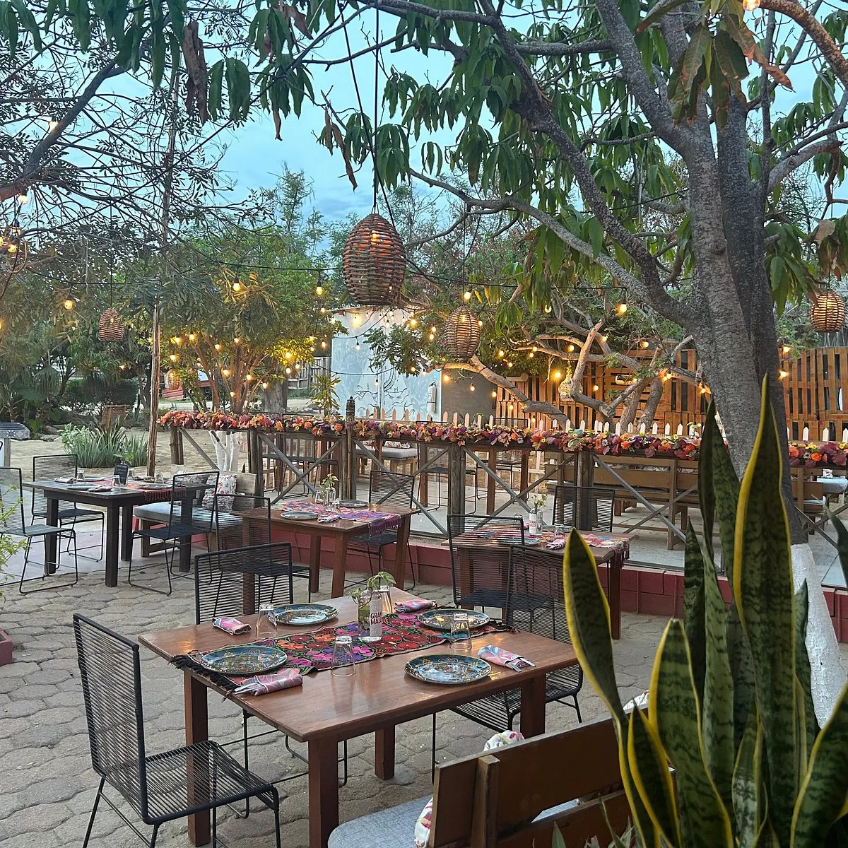 Metate, restaurants in Cabo 3
