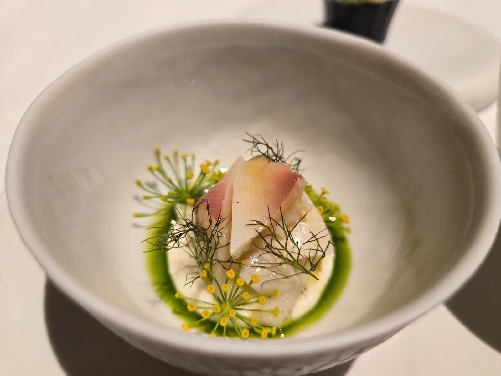 Mezzaluna - fix refined crudo course slices of cured fish over a white puree with dill flowers and green herb oil in a white bowl fine dining degustation plate