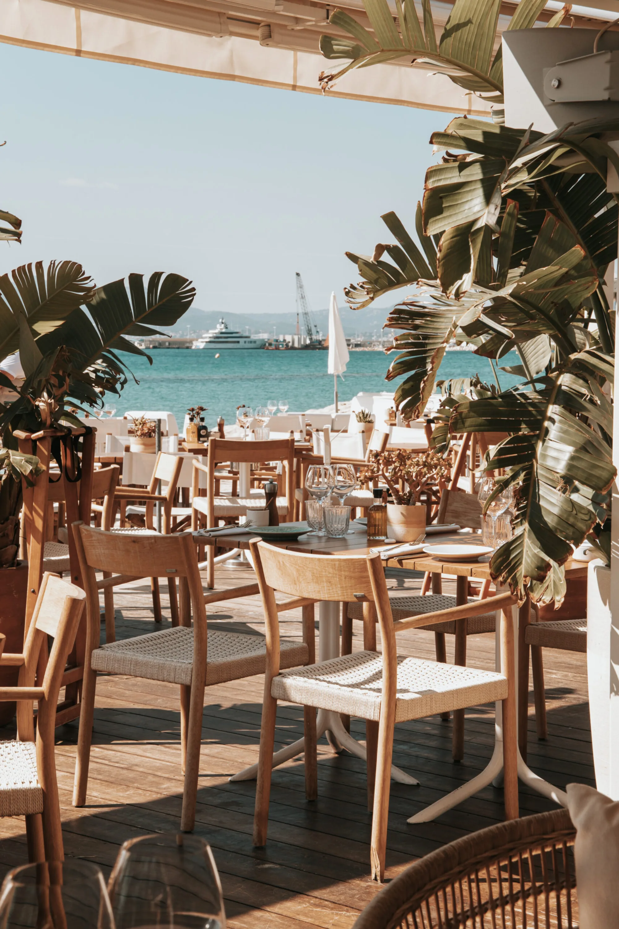 Miramar Plage - terrace plants