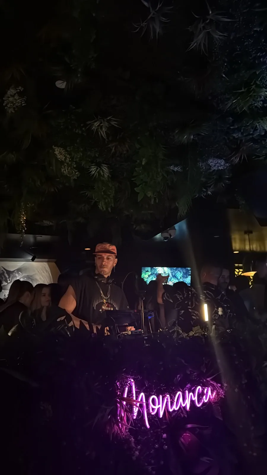 Monarca - dj booth