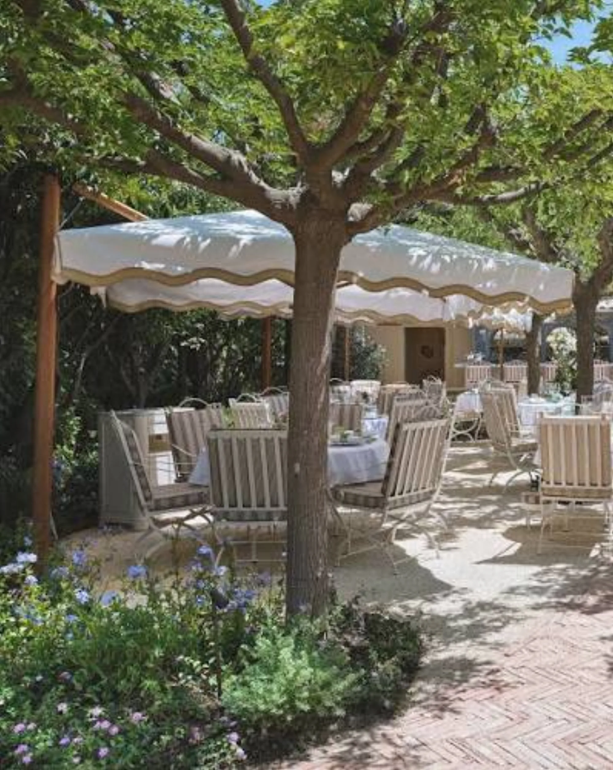 Monsieur Dior - striped umbrella terrace