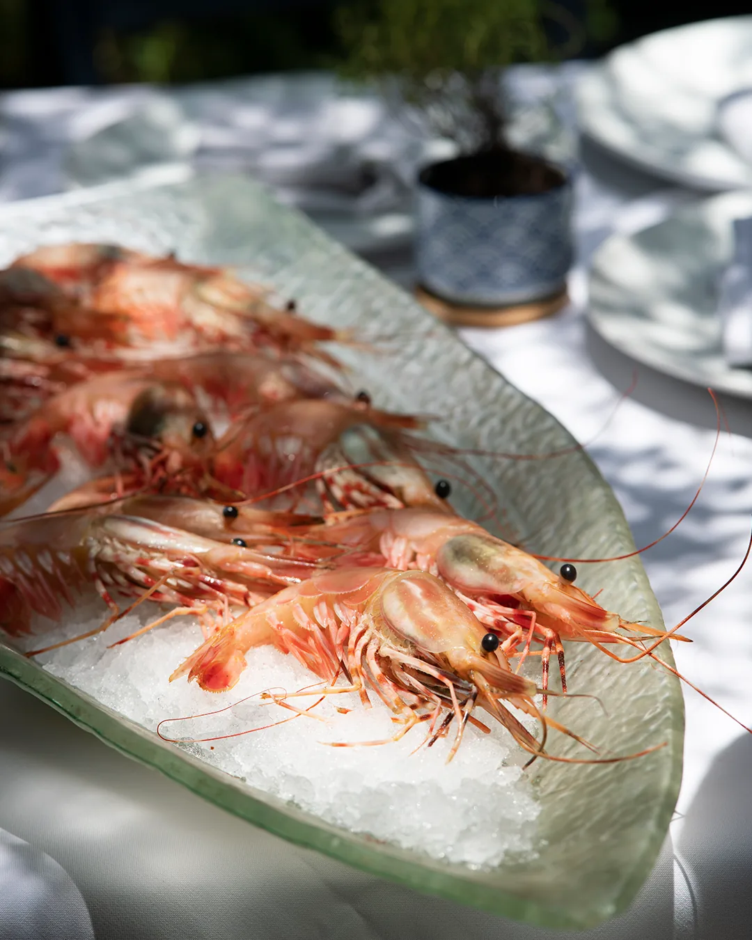 Nostos - Lomas de Chapultepec - red shrimp platter