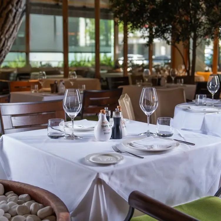 Novikov - interior 4