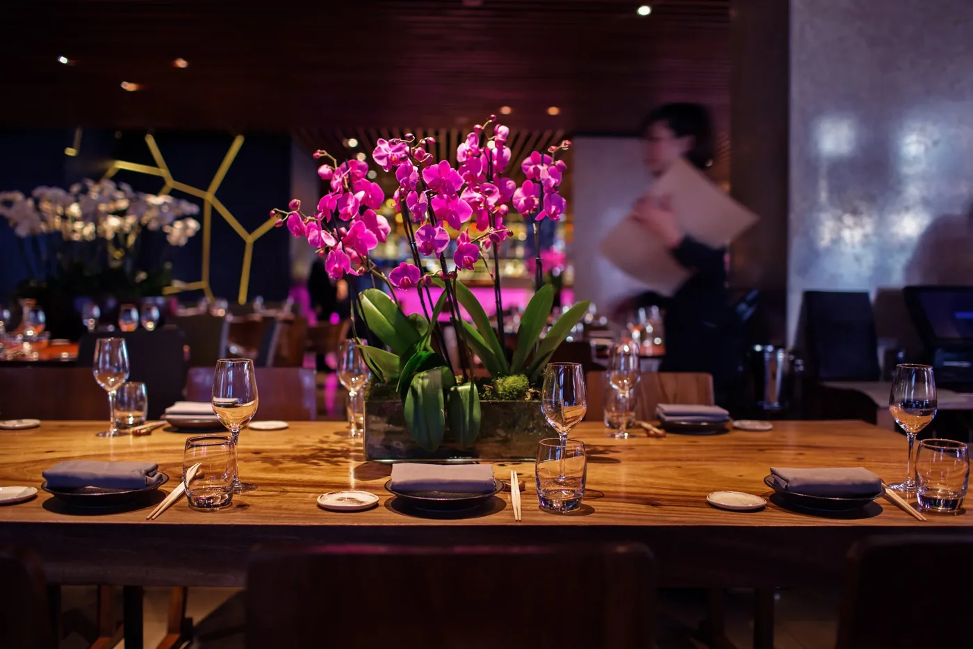 Novikov - interior 3