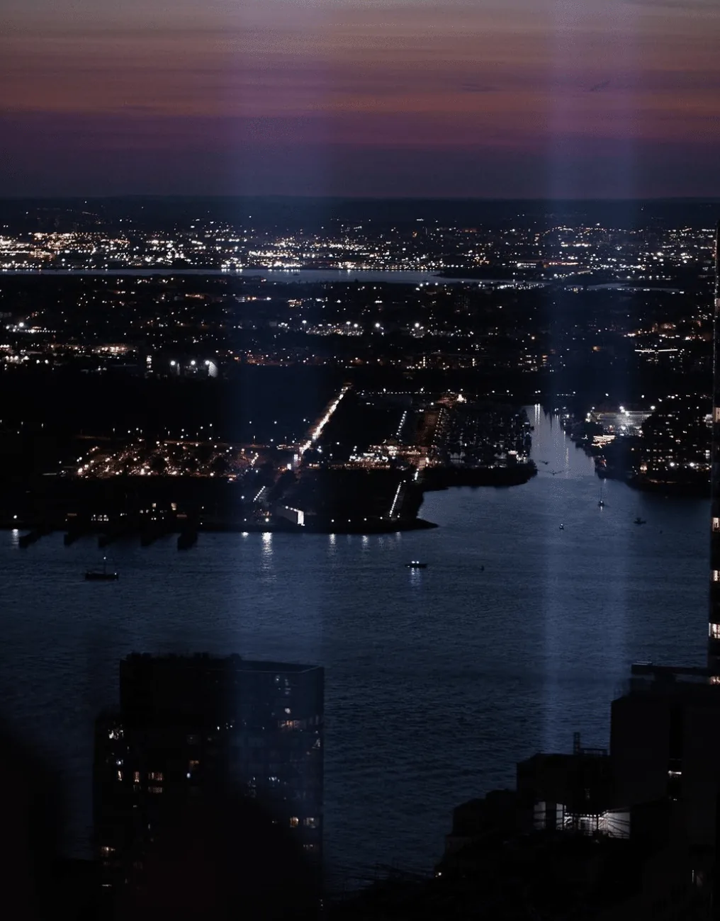 Overstory - harbor skyline view at dusk