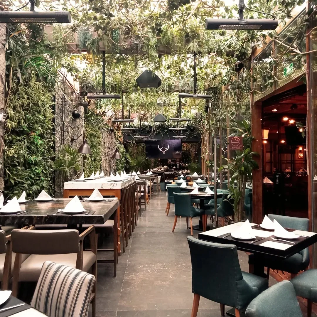 Palominos - garden terrace dining