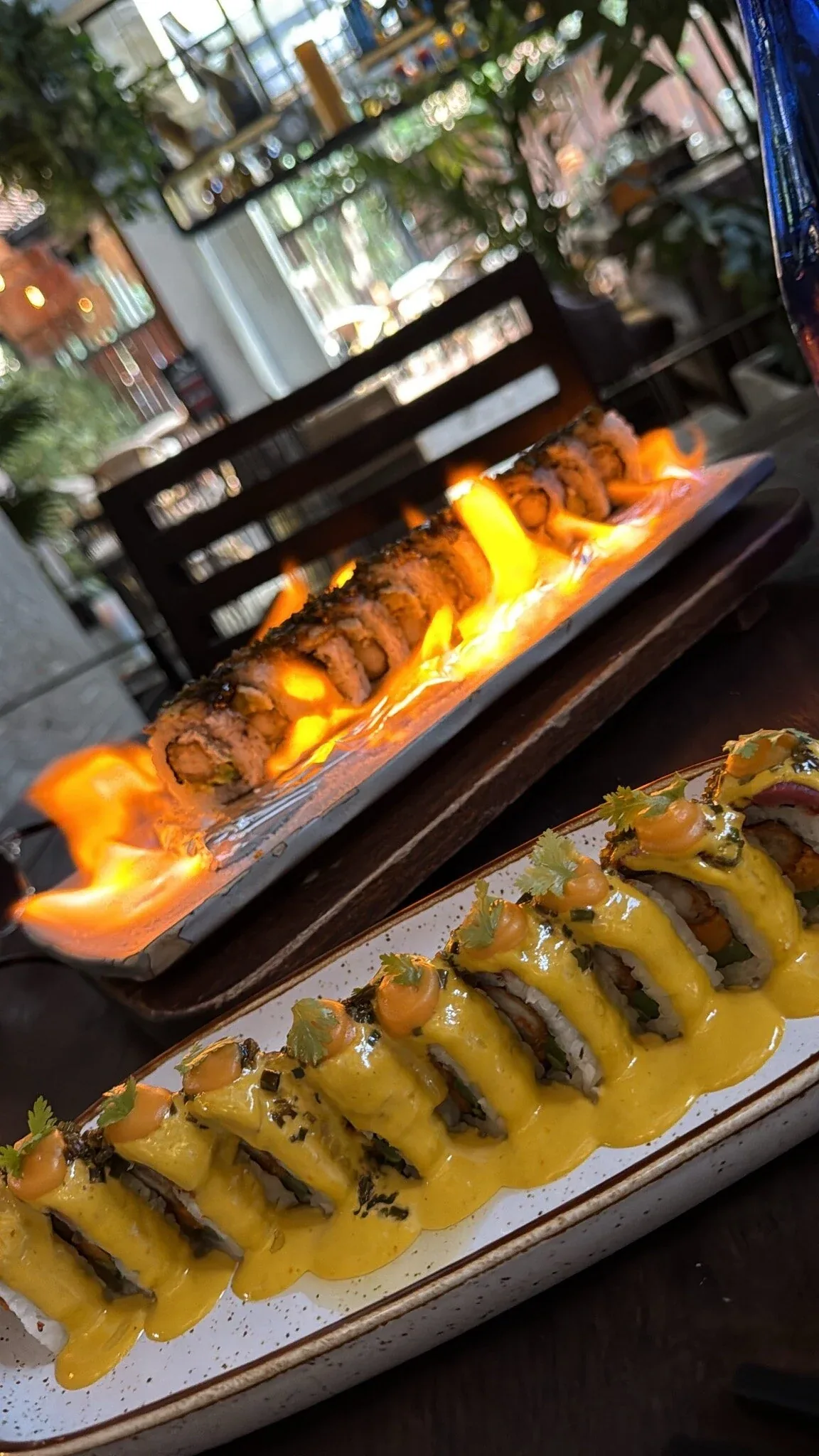 Panka - robata