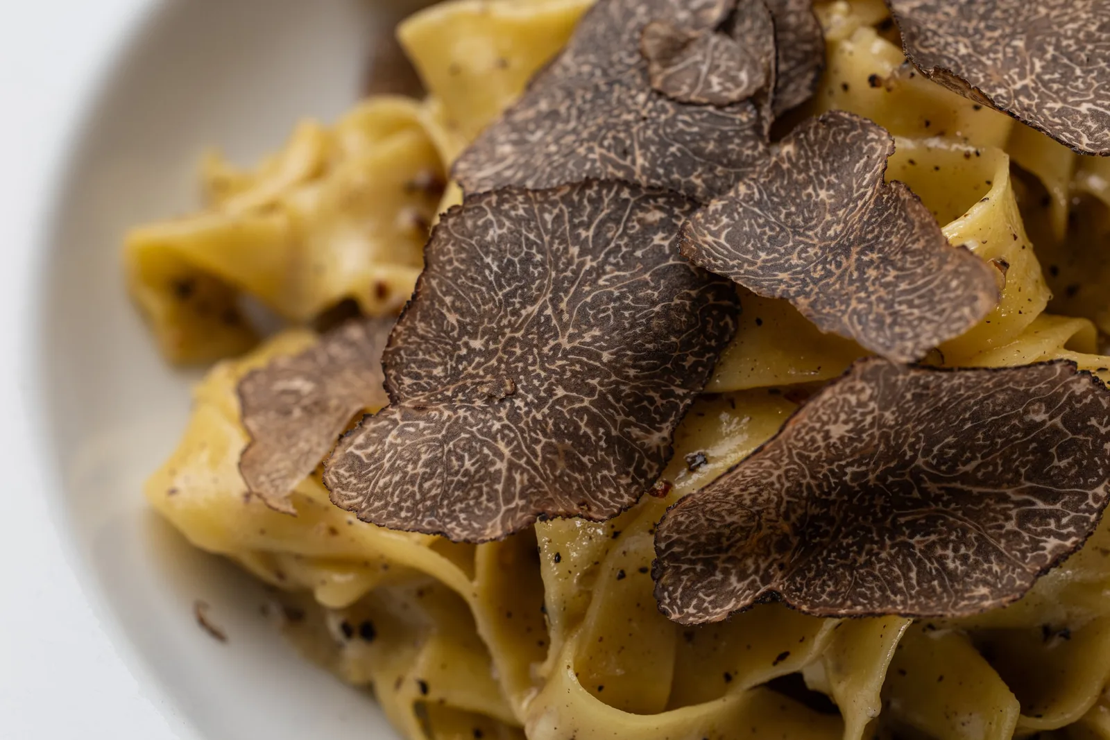 Paradisaea - truffle pappardelle