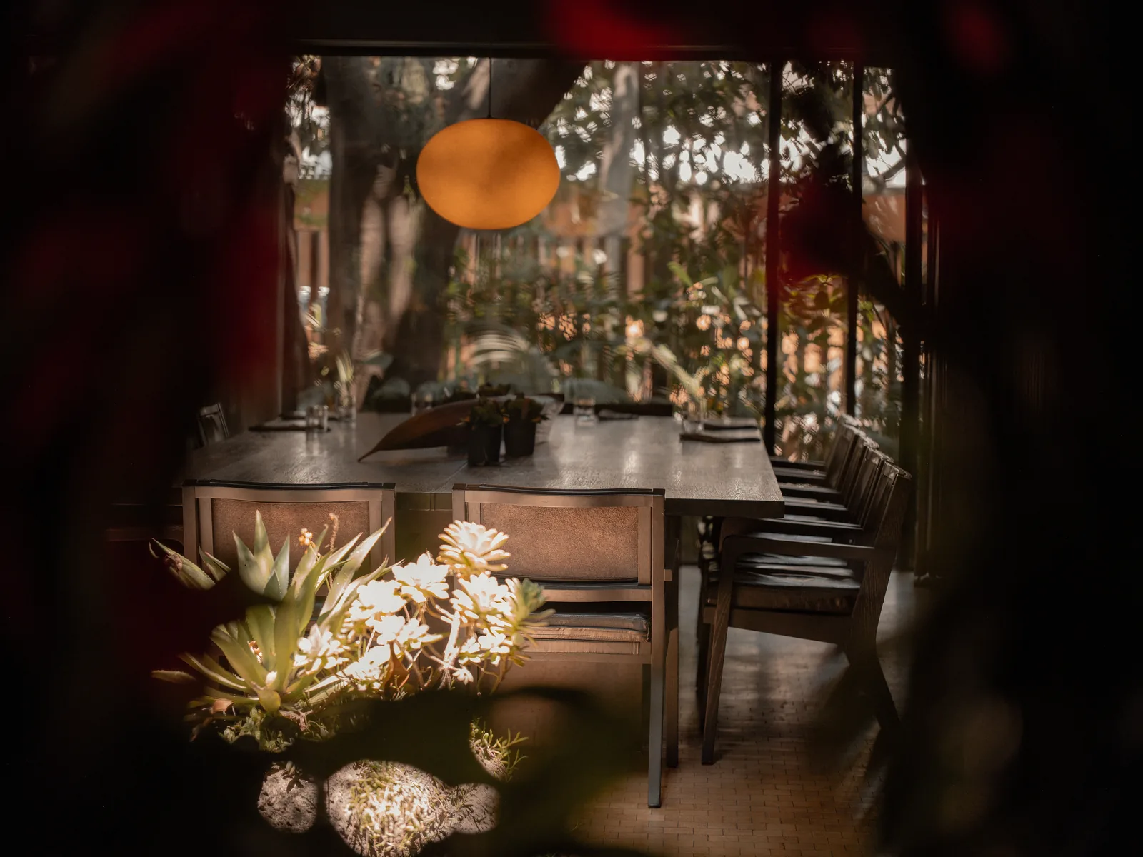 Pujol - dining room with garden view